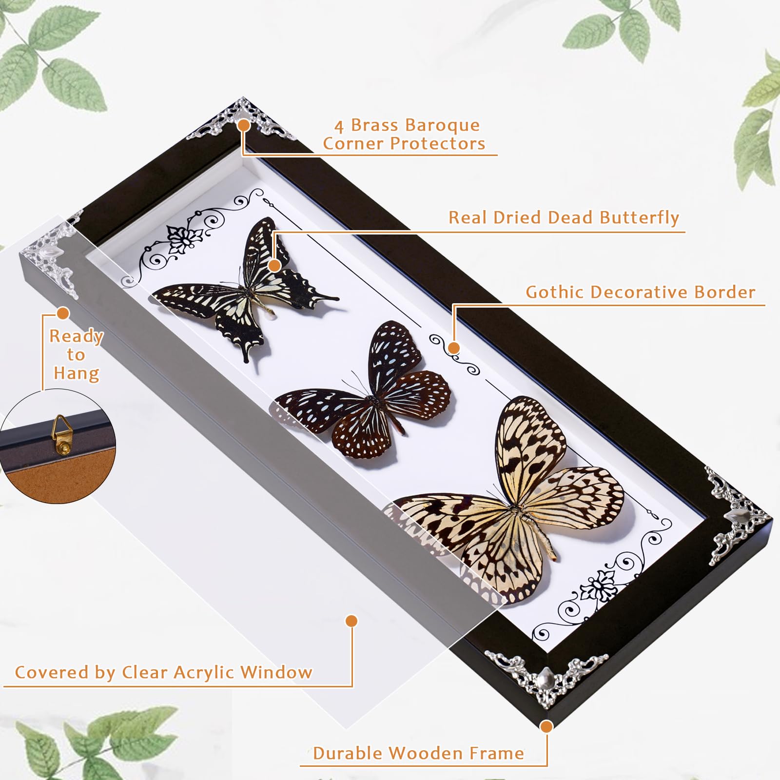 3 mariposas reales enmarcadas, decoración gótica de 15.2 x 6.5 pulgadas, caja de sombra de mariposa de taxidermia para decoración del hogar de brujas