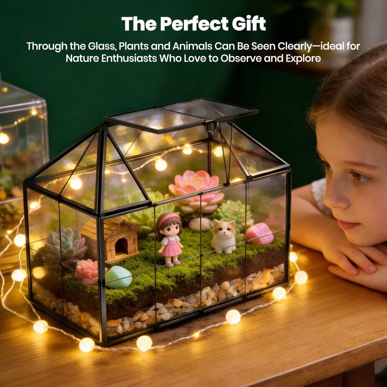 Mini serre rebord de fenêtre en verre pour plantes terrarium petit jardin en bouteille DIY