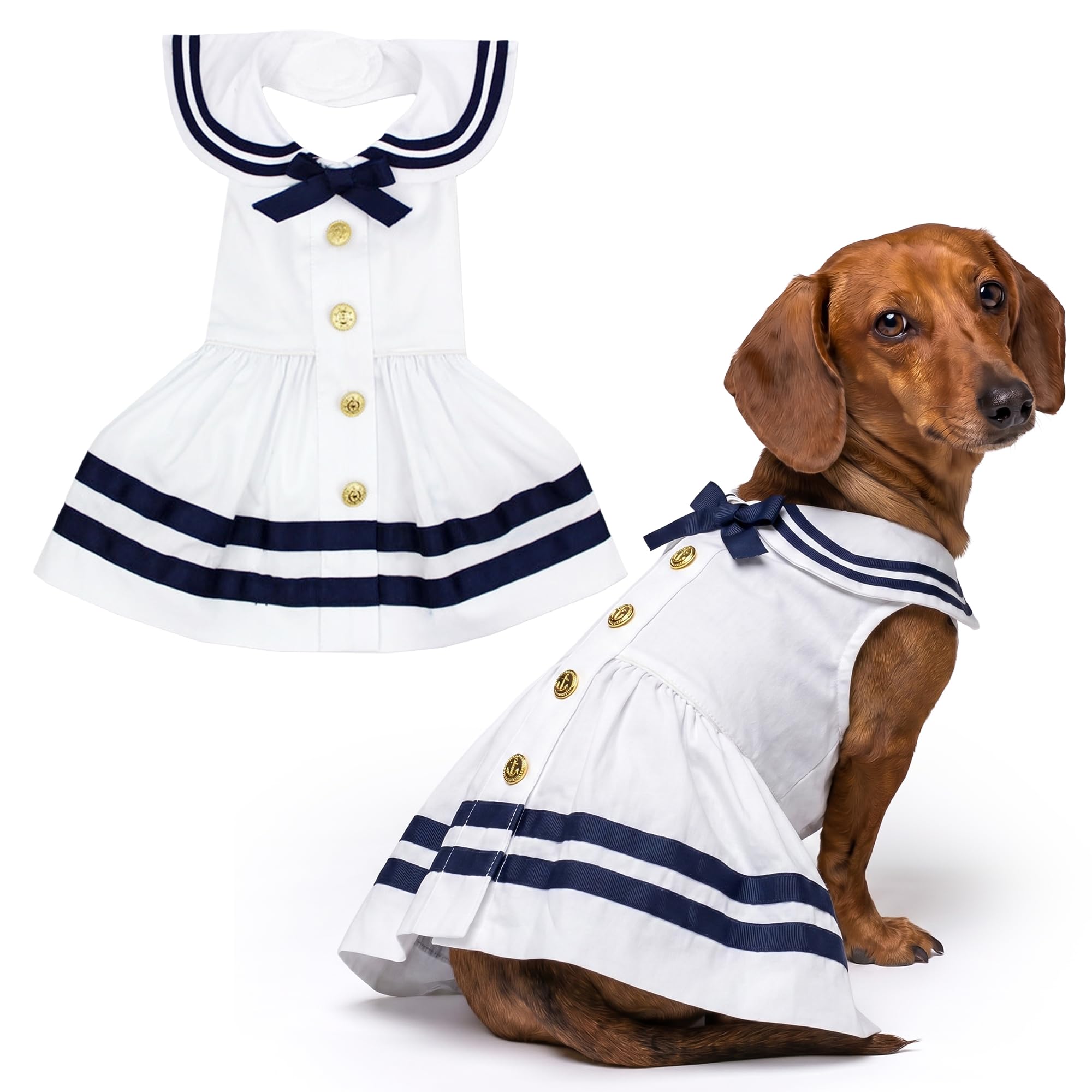 dress blues for dogs Blue Polka Dot Dog Dress with Matching Leash