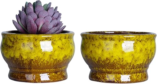 Miniatura 6 de Maceteros de cerámica para suculentas de 4.3pulgadas con drenaje, tamaño pequeño, para flores, plantas de interior y cactus, paquete de 5 unidades