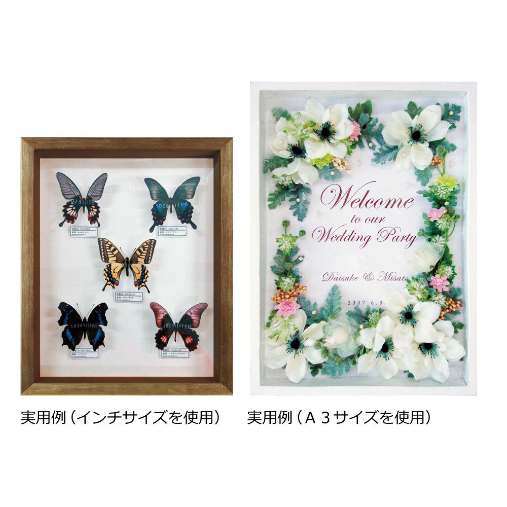 APJ Frame Art Box Frame B3 364 x 515 Pastel Pink 1000020471