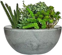 Vaso Bacia Cuia Planta Decorativa Suculentas Rosa Do Deserto (Grafite)