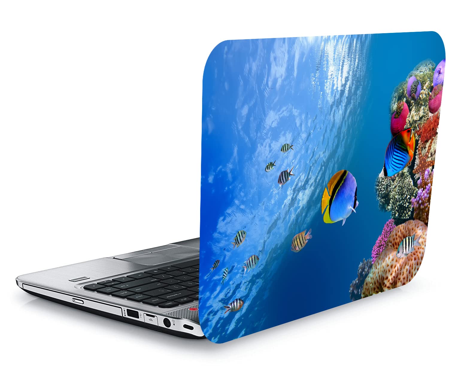QTH Dynamic Design Laptop Sticker 15.5 Inch QTH-L18-1819 (B09LLHDH43) Amazon Price History, Amazon Price Tracker