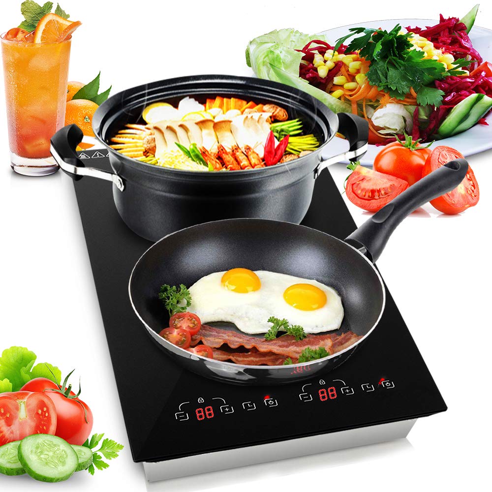 120 volt induction cooktop