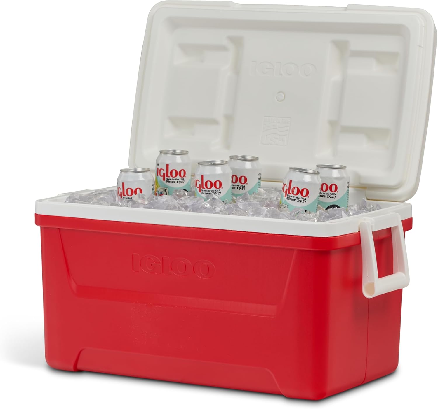 Igloo Passive Mini-Kühlbox Laguna