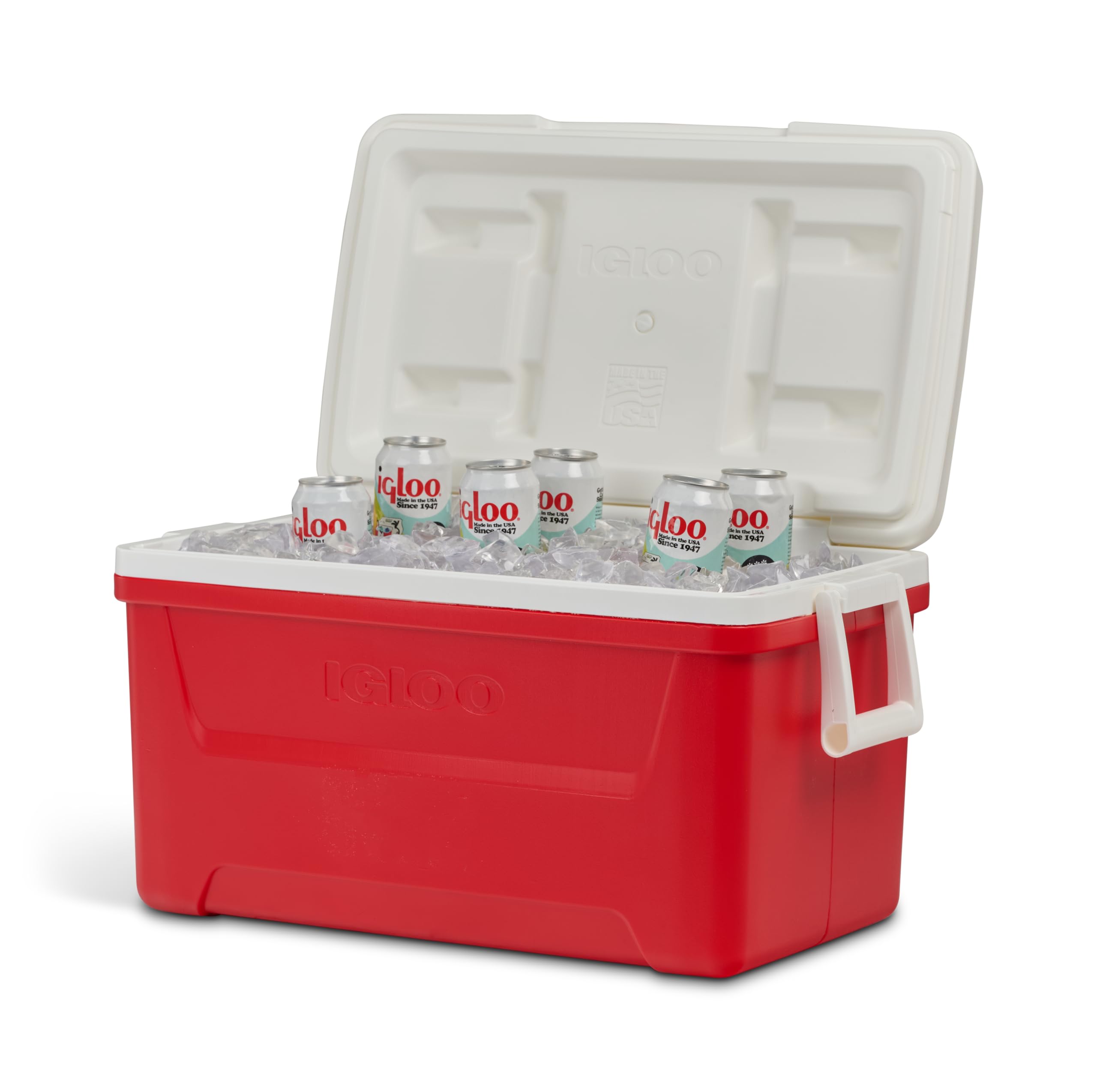 IGLOO Mini Kühlbox