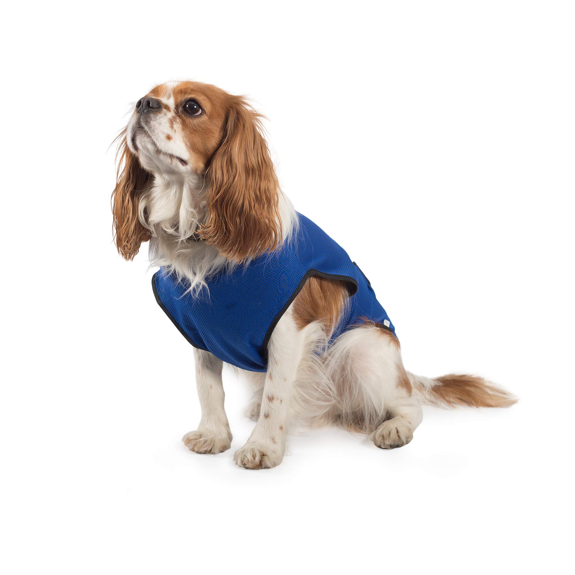 Ancol, cappotto di raffreddamento per cani