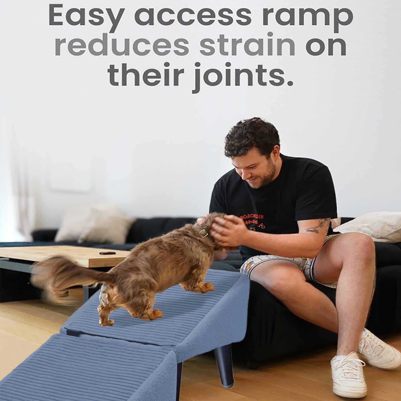 Rampa Per Divano Per Cani, Scaletta Antiscivolo Per Cani, Gradini Pieghevoli Per Letto, Scale E Gradini Portatili Multifunzionali Per Animali Domestici, Rampa Poggiapiedi 2 In 1, Per Cane E Gatti
