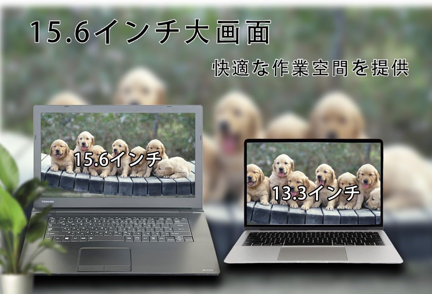 Amazon.co.jp: 東芝 ノートパソコン DynaBook B55／B65／15.6型 ／Win