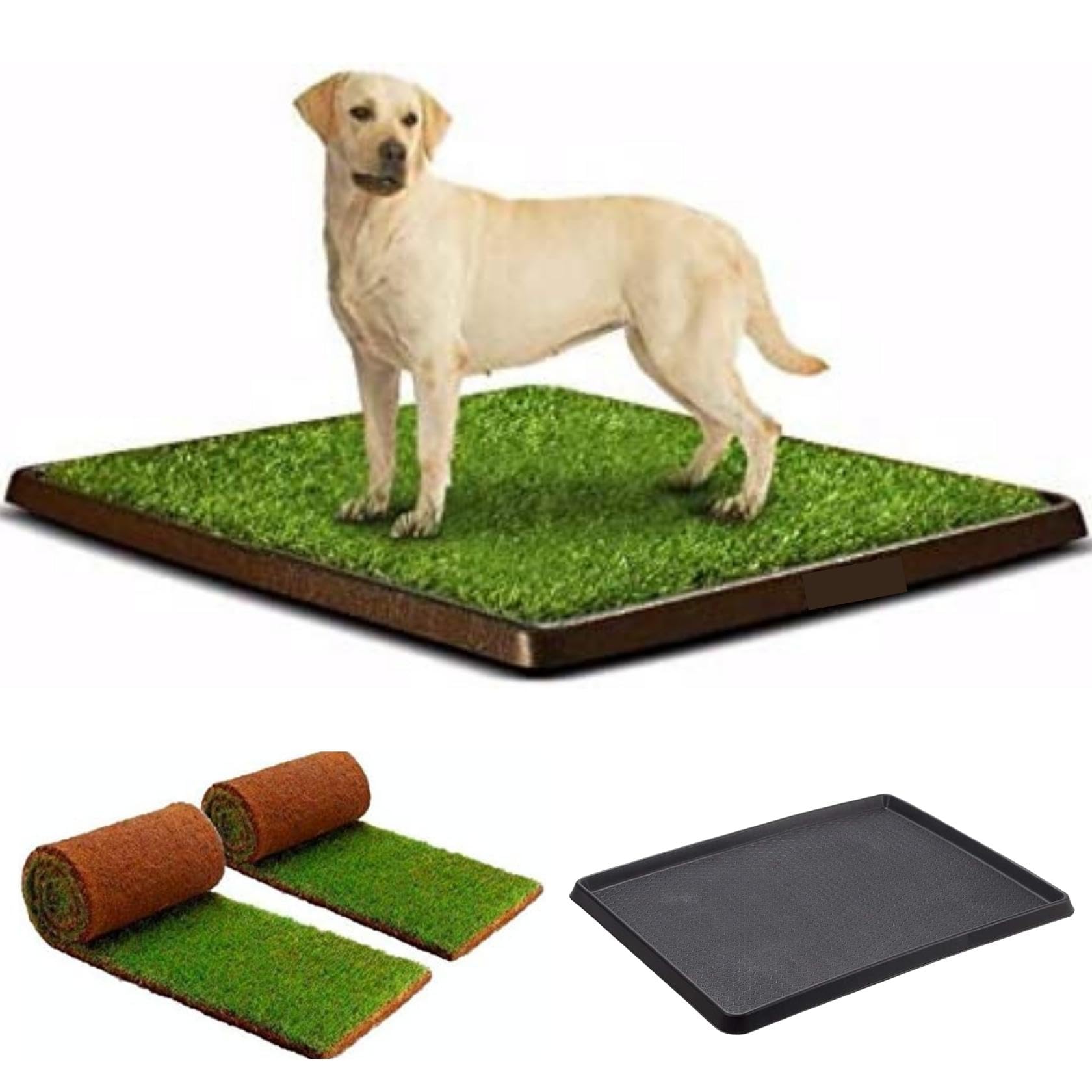 PetZolla Kit XL - Arenero para Perros de Hierba + Bandeja PetTray para contenerlo, cesped 100% Natural. Empapadores Perros para Entrenamiento de Mascotas. Prato Real, tamaño Interior XL (100X80 Cm)