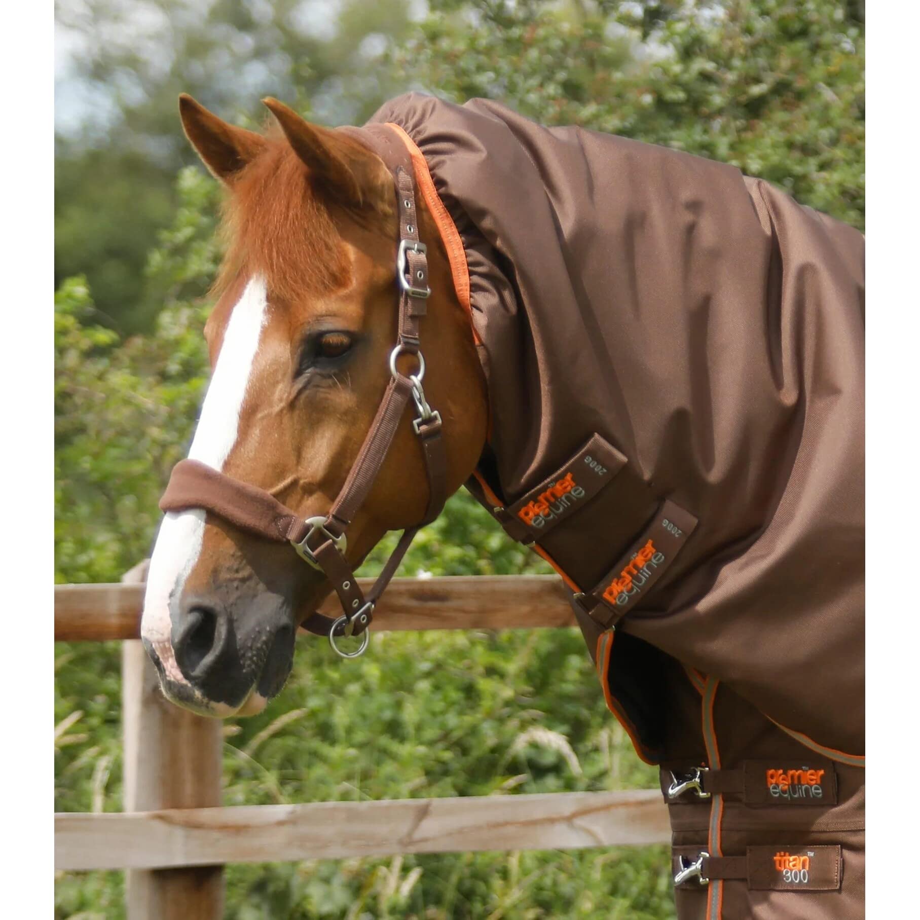 Coperta per cavalli da esterno con copricollo Premier Equine Titan 300 g