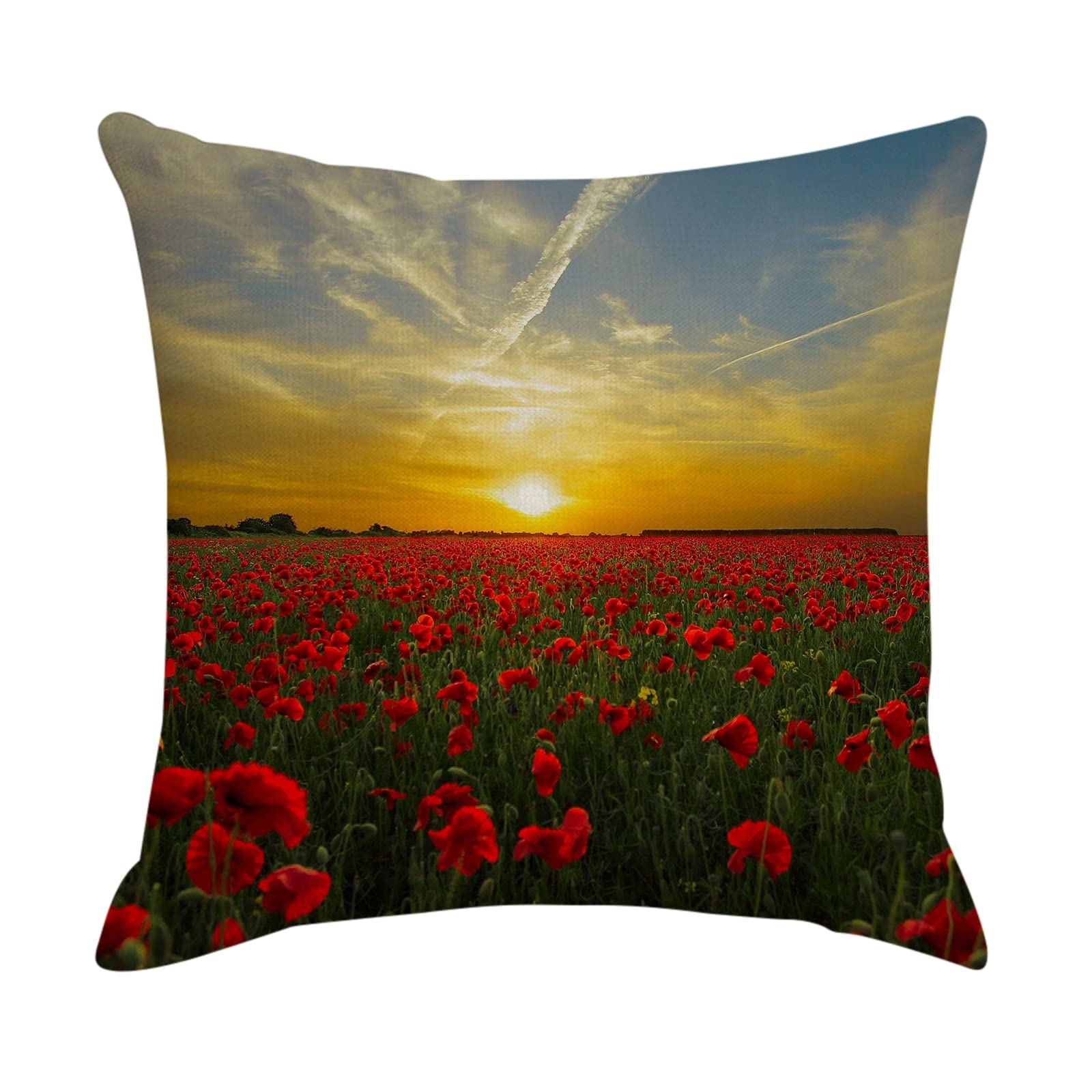 4 fundas de cojín para sofá y silla, 50 x 50 cm, funda de cojín pequeña, color rojo, verde, amarillo, puesta de sol y flores rojas, funda de almohada de lino para sala de estar