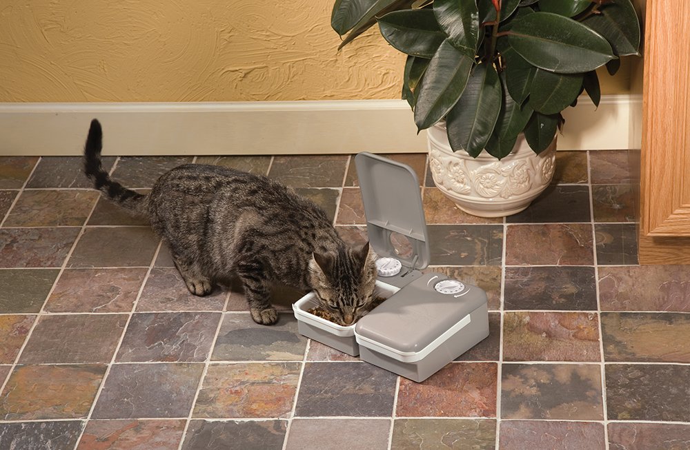 Petsafe Comedero Automático Para Gatos Y Perros De 2 Comidas - Dispensador De Alimentos Para Gatos Y Perros - Funciona Con Pilas
