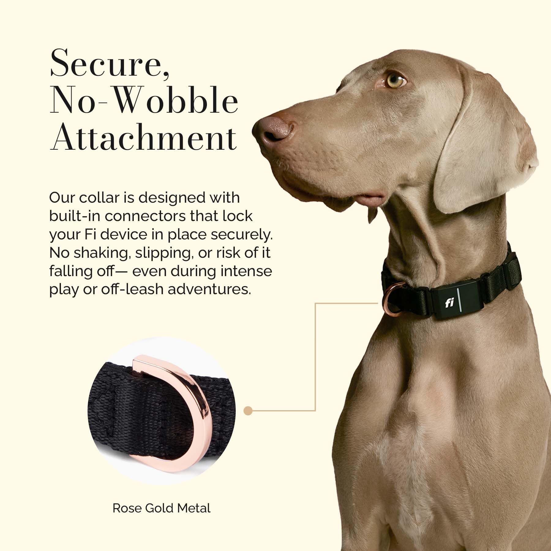 The Fi Rockstar Collar - Luxury Design Meets Smart Tech - Crafted for Fi Series 3/3+ - Seamless Style & Craft - image 4