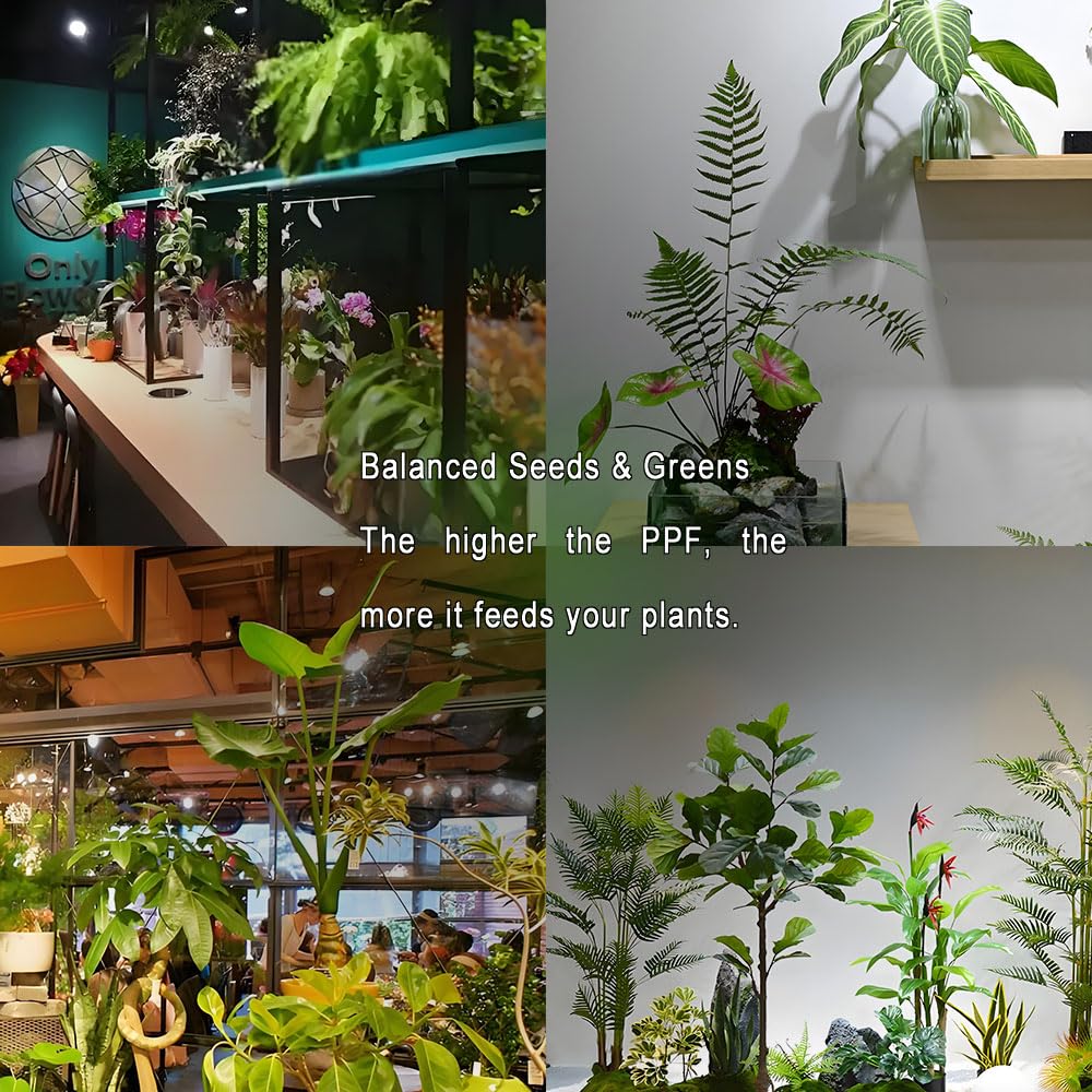 36W LED Pflanzenlampe Vollspektrum E27 Sockel für Zimmerpflanzen,LED Grow Light mit High PPFD Wachstumslampen für Gewächshaus,Garten, Blumen,Gemüse, Hydroponik,400W Äquivalent,4000K,Größe Ø12.0*15.3cm
