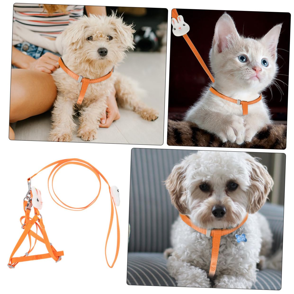 Toddmomy Cat Vest Harness for Pets Durable and Wear Resistant Pet Leash Creative Traction Rope for Dogs and Cats for Walking and Outdoor Activities