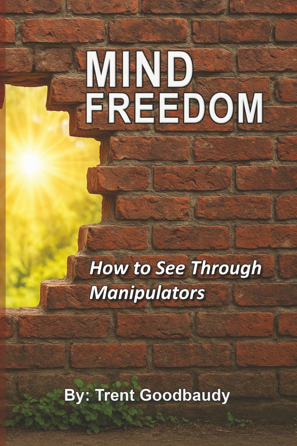 Mind Freedom: How to See Through Manipulators (The Liberty Truth Series)
