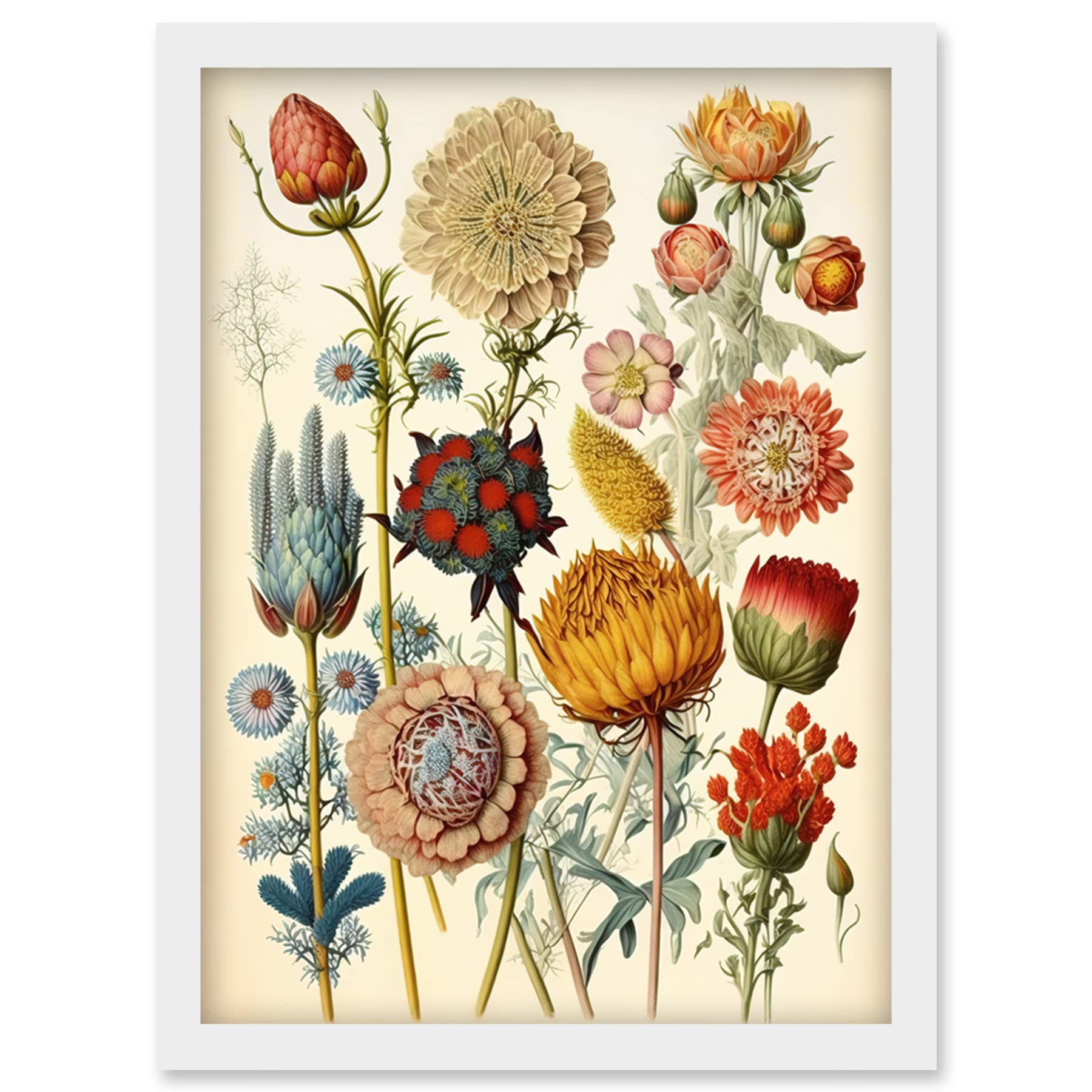 Artery8 Vintage Botanical Ernst Haeckel Inspired Plant Study Modern Watercolour Painting Illustration Artwork Framed Wall Art Print A4