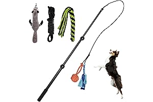 Flirt Pole: Unleash Your Dog's Hunting Instincts