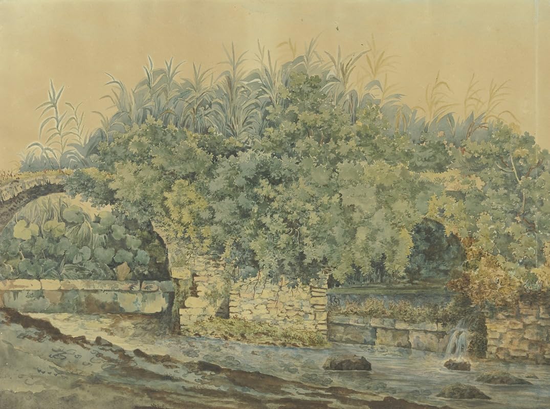 Verfallene Steinbrücke über einen Bach von Büschen und Pflanzen überwuchert Poster Print by Jakob Philipp Hackert (24 x 36)