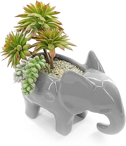 Miniatura 3 de Arena de sílice gruesa natural de 5 libras, para uso en manualidades, decoración, jardinería, relleno de jarrones, acuarios, terrarios y más