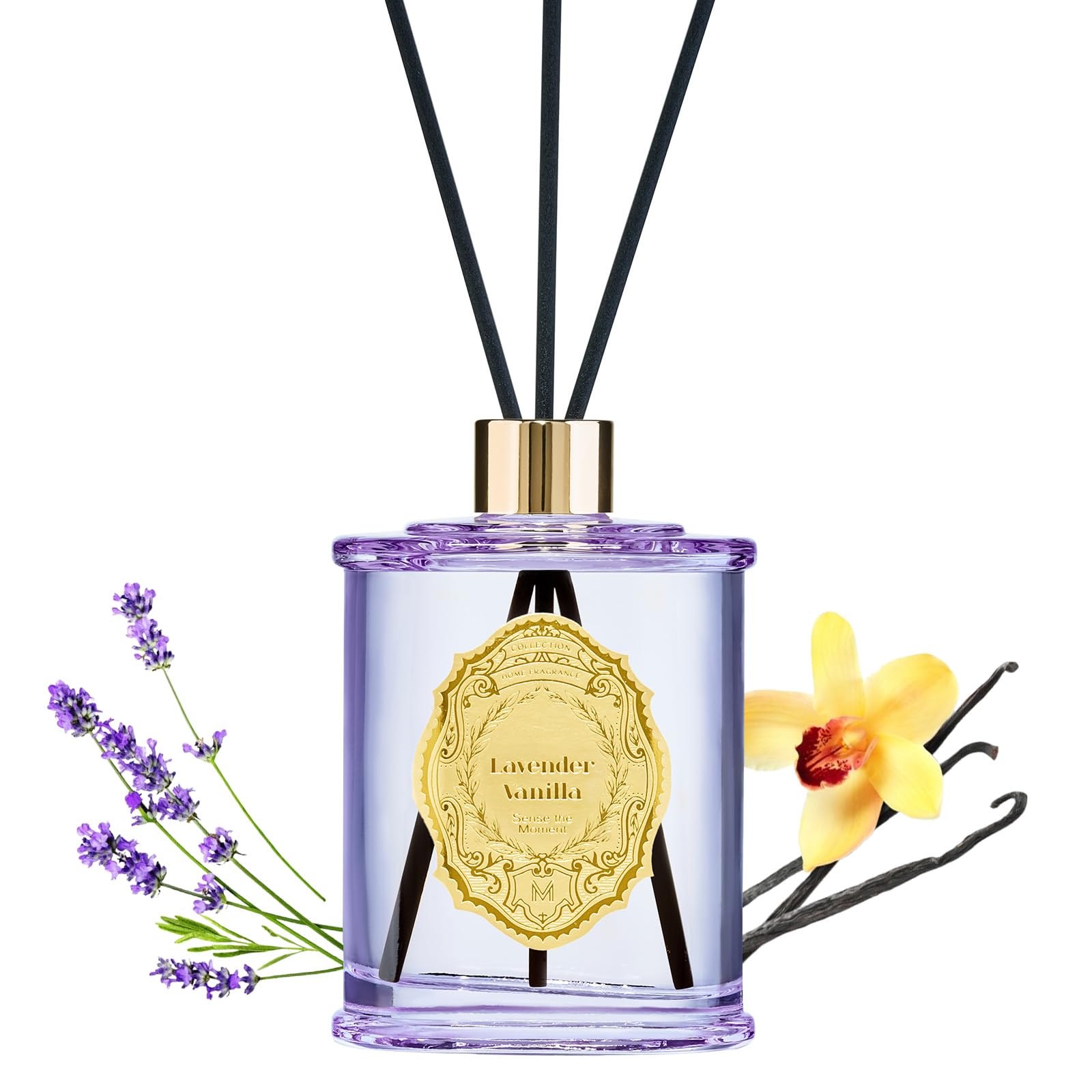M&SENSE 8.4 oz Large Reed Diffuser for Home | Lavender Vanilla Scent Oil Diffuser with Sticks | for Bedroom Bathroom Living Room Neutralize Odors