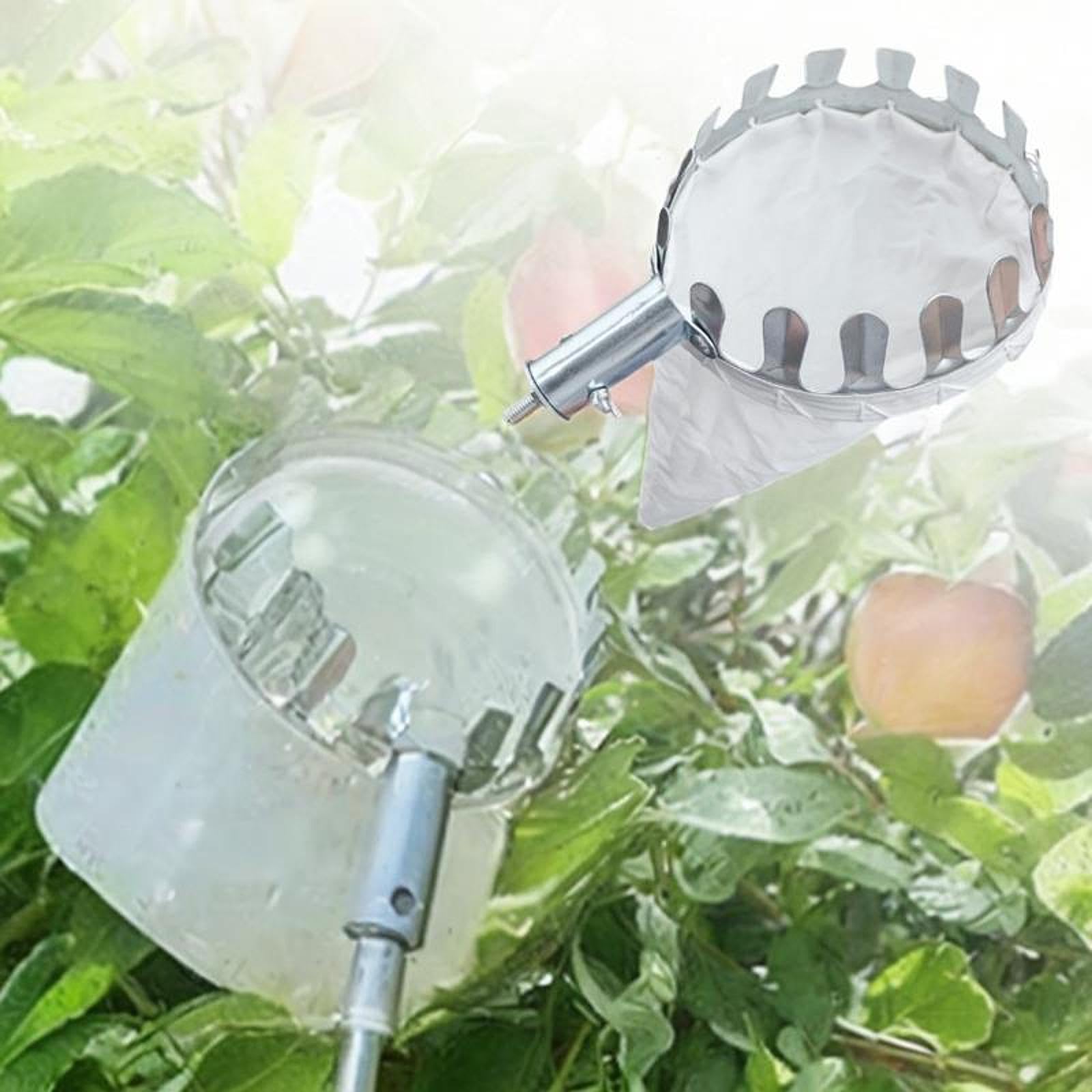 Palo para recoger fruta, Cesta for recoger frutas, cabezal portátil y resistente for manzanas de huerto