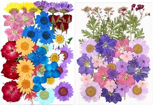 Tovip 71 piezas de flores y hojas secas prensadas reales, mezcla de flores secas naturales prensadas, flores secas naturales preservadas para