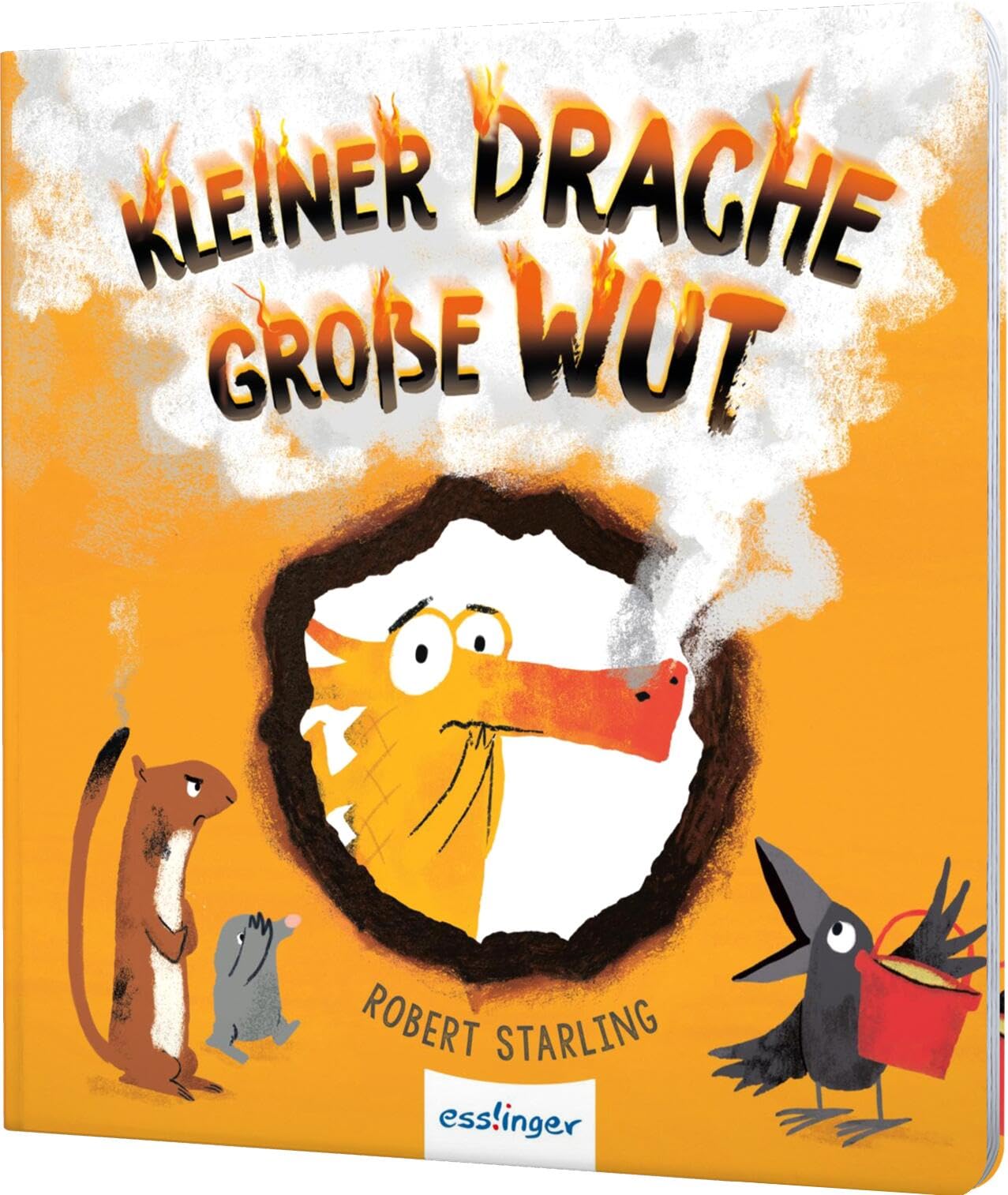 Kleiner Drache Finn: Kleiner Drache, große Wut: Witziges Pappebuch über Wut und Gefühle