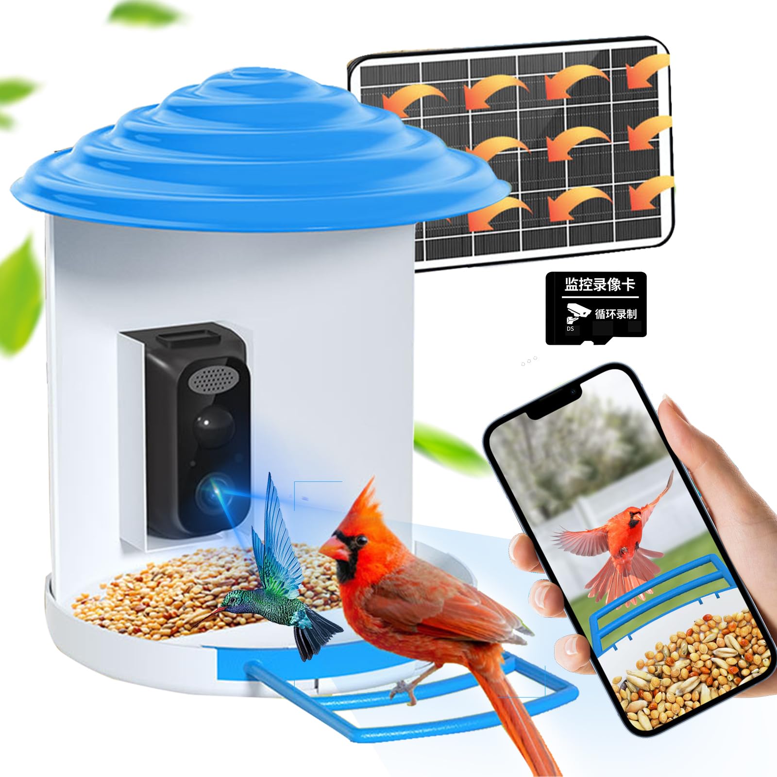 Wild Bird Feeders - Smart Bird Feeder with Camera, Bird Watching Camera, Auto Capture Bird Videos & Motion Detection, AI Identify 10000+ Bird Watching Camera Wireless Outdoor for Bird Lover