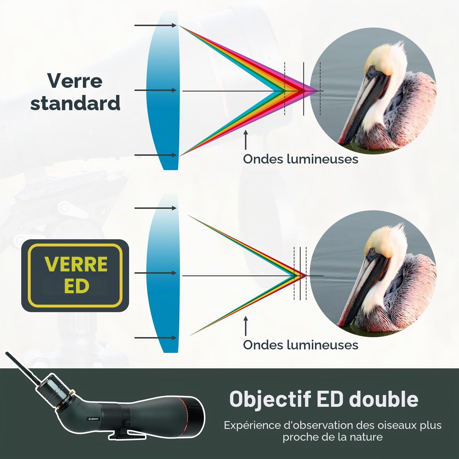 Svbony SA401 APO Longue Vue, 25-75X100mm Objectif Double Ed Apochromatique Revêtement FMC, IPX7 Imperméable Oculaire Amovible Puissante, avec la Caméra WiFi SC001 pour Observation des Oiseaux