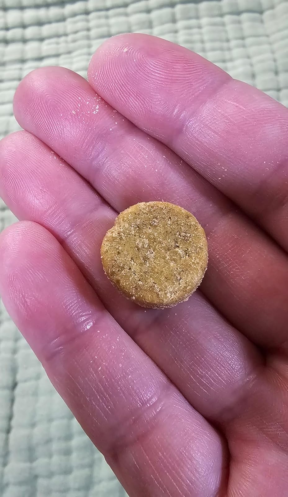 Dog Probiotics Digestive Enzymes - 120 Soft Chews