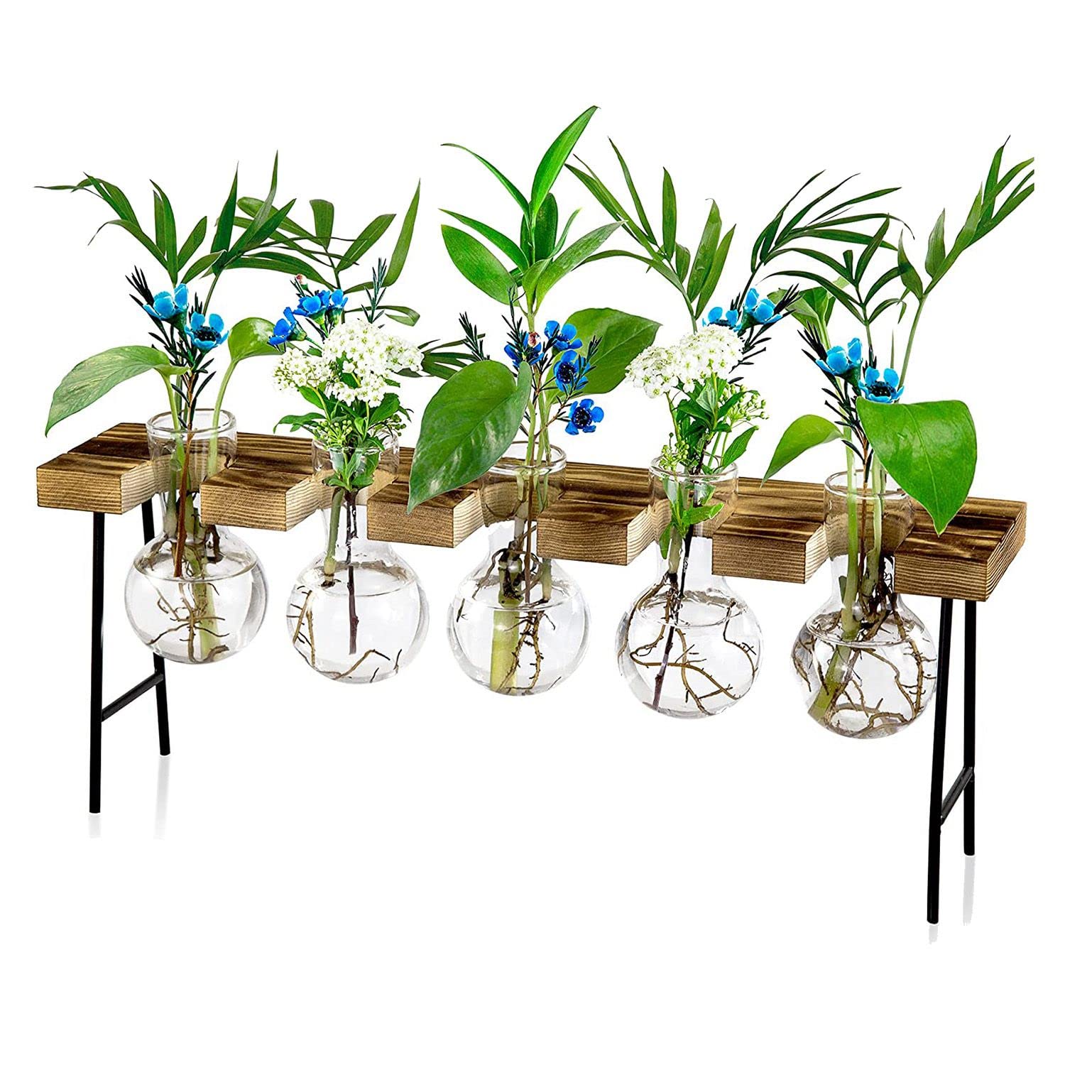 CTRLZS Propagation Stations Desktop Air Plant Terrarium, Glass Planter Bulb Glass Vase with Wooden Stand - Plant Terrarium