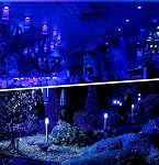LED Ampoule de lumière colorée 9W (60W Équivalent),A19 LED E26 Ampoules de couleur de base,LED Ampoule pour Halloween,Décoration de Noël,Party,Bars,Lumières primaires,Éclairage d'humeur de vacances,Non-Dimmable (Blue)