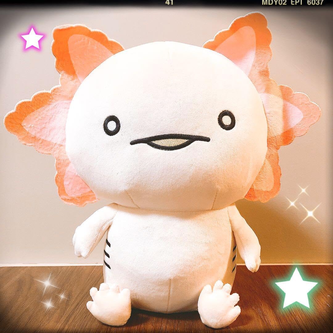 中古】ぬいぐるみ くま ねそべりぬいぐるみ 「ともだちはくま」 熊 注意