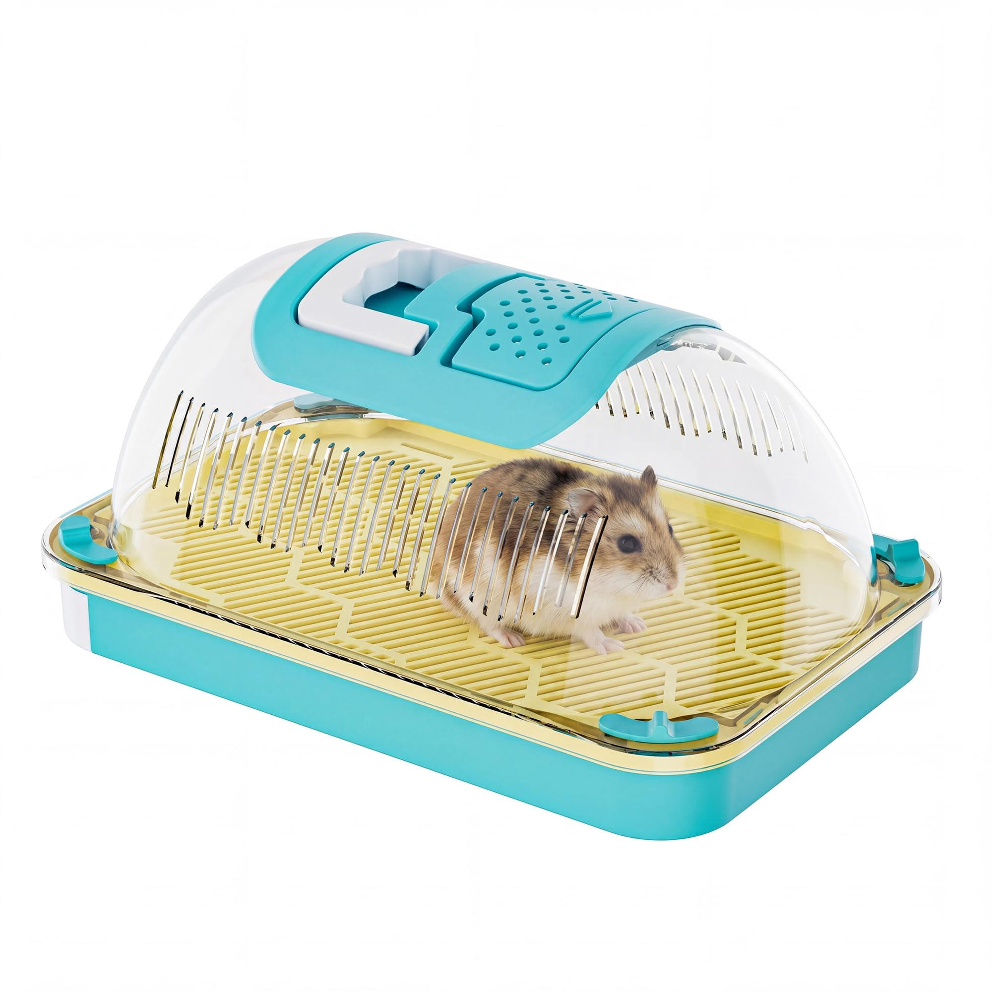 Small Animal Carrier & Insect Carrier with Clear View Lid | Ventilated Habitat Box & Removable Tray for Hamsters, Lizards, Hermit Crabs, Insects, Butterfly Habitat Observation