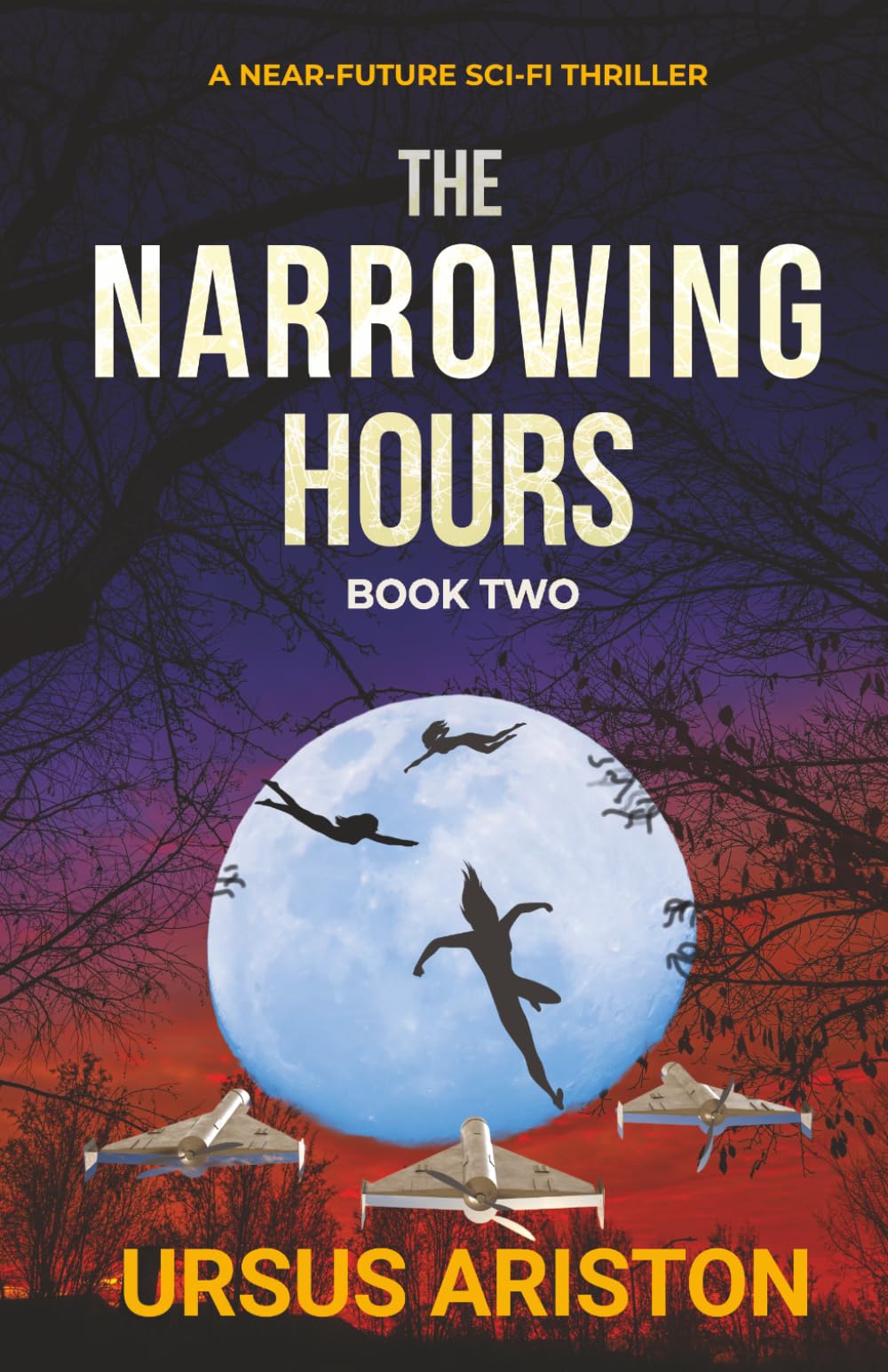 The Narrowing Hours: A Near-Future Sci-Fi Thriller (The ImmCorp-Sarmea Wars)