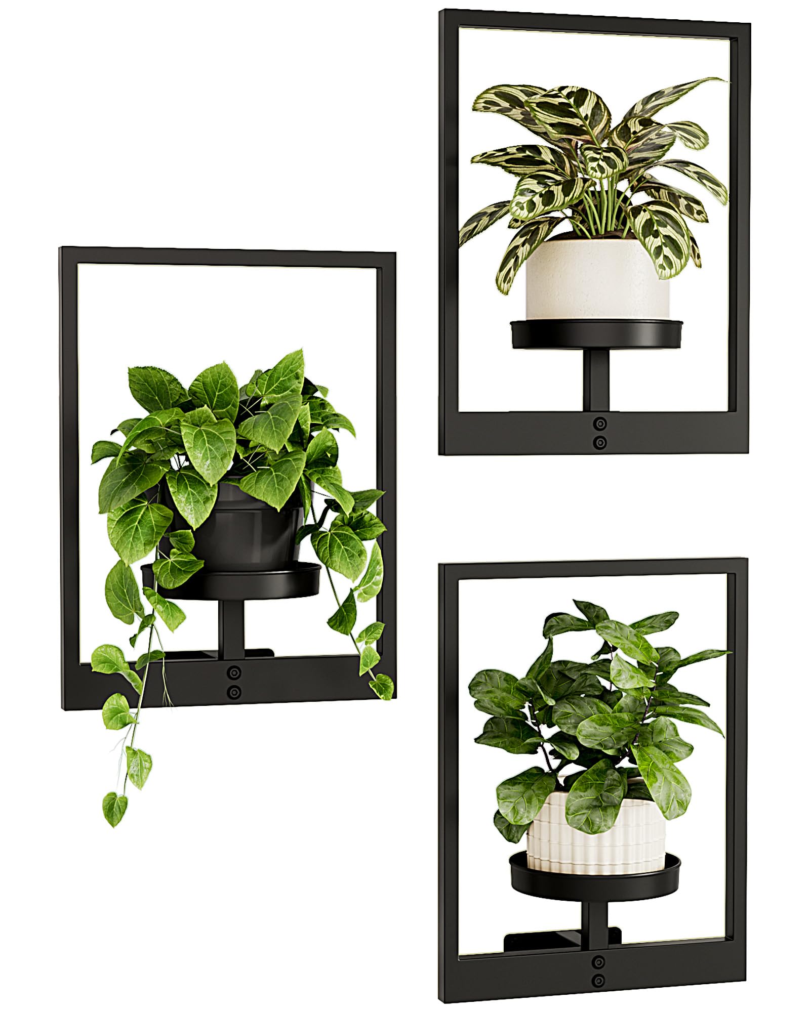 Bamworld Soporte Plantas Interior, Macetero Colgante para Pared, Estantería para Plantas, Porta Macetas, Pedestal para Plantas de Interior, Juego de 3 para Entrada Exterior