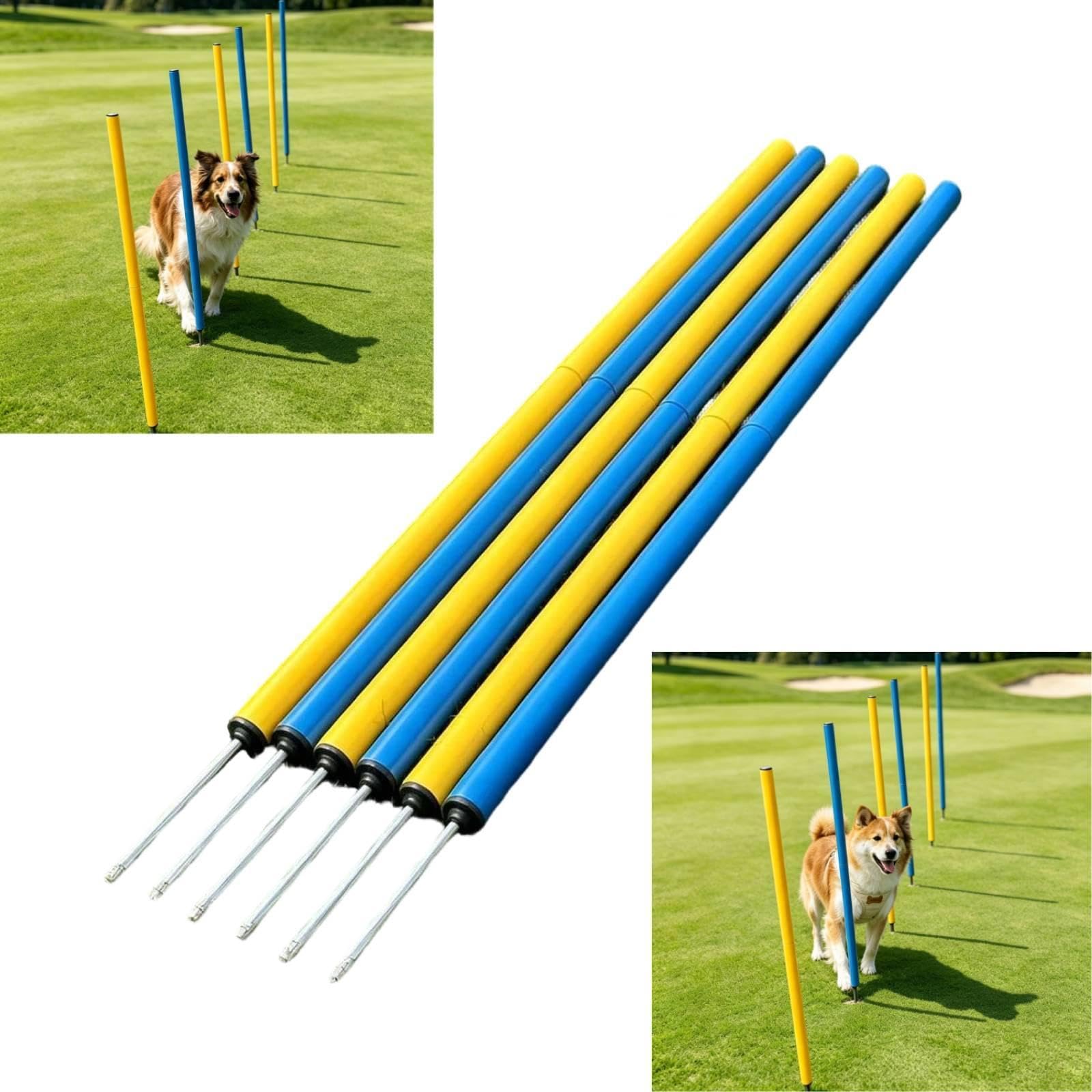 6X Agility Trainingsgeräte Agility Trainingsstangen für Hundebasketball