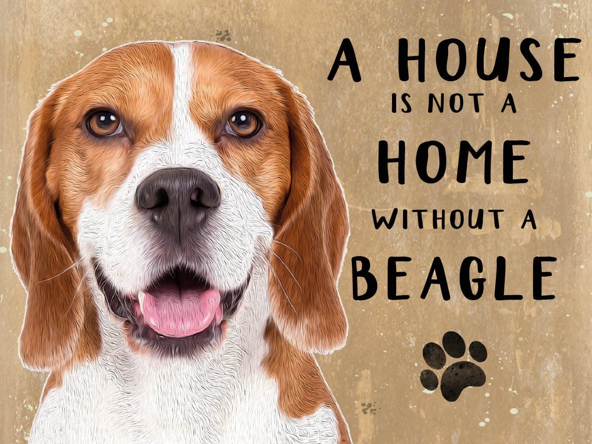 Small (150 x 200mm) Metal Sign - A House is Not a Home - Beagle