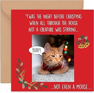Felbridge Studio - Cat Christmas Cards - Funny Humorous Xmas Card for Daughter Mum Dad Husband Wife Friends Family Cousin Boyfriend Him Her Son - Luxury Fancy Gift - 2021-14cm