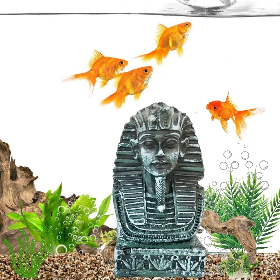 VAYINATO® 4.5 (12 * 6.5 * 6.5 Cm) Inch Antique Ancient Egyptian Kings Face for Aquarium Fish Tank Deoration | Home Decoration | Hallow Fibre Material | Realistic Look by Petzlifeworld (B0CC62S8N1) Amazon Price History, Amazon Price Tracker