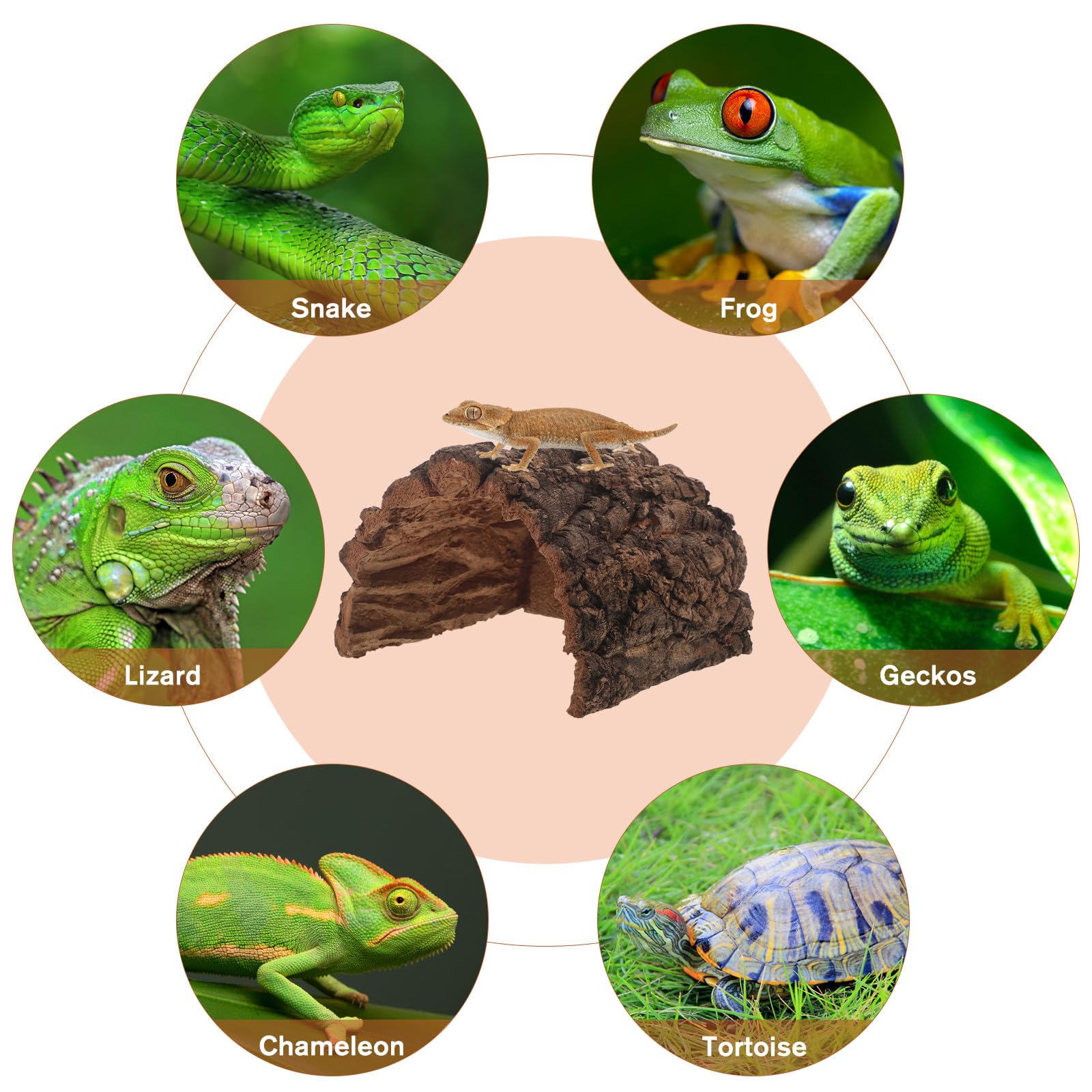 Refugio de Corteza de Corcho para Reptiles - Cueva de Corteza de árbol Natural para lagartos, barbudos y Geckos - Terrario pequeño con Forma de de 6x7''