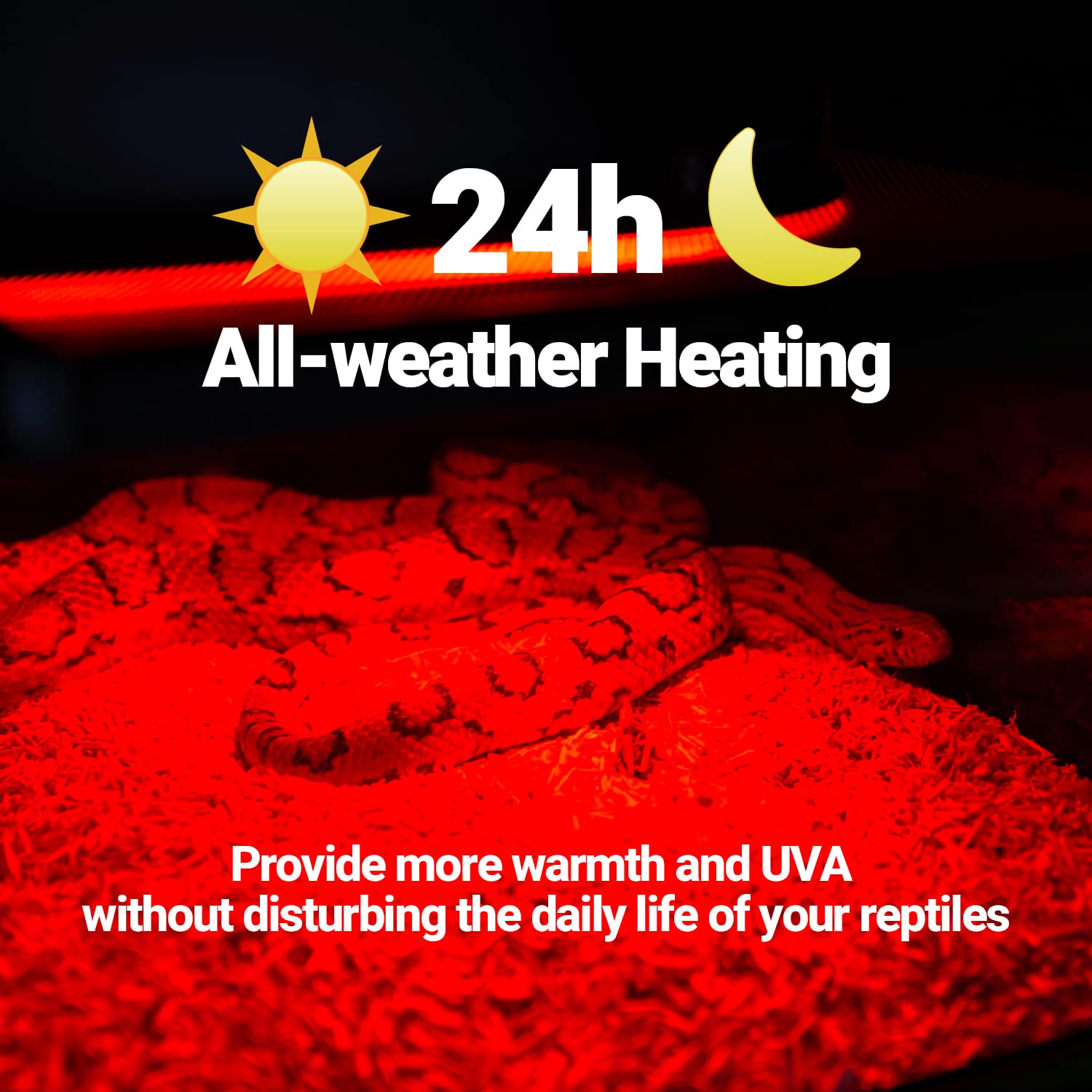 WACOOL 4 Pack Reptile Heat Lamp Bulbs,100W Infrared Basking Spot Light for Reptiles & Amphibians, Red Heat Lamp Bulb for Bearded Dragon Gecko Turtle Lizard (75, Watts)… - image 5