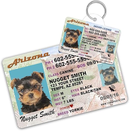 drivers licence dog tag