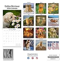 Vista 2 de MegaCalendars - Golden Retriever Calendar 2024 - Dog Breed Wall Calendar