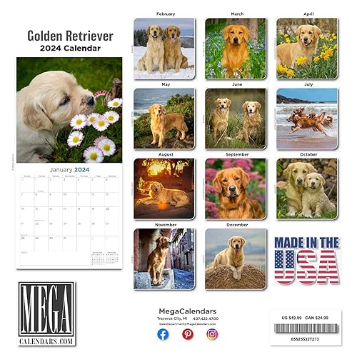 Miniatura 2 de MegaCalendars - Golden Retriever Calendar 2024 - Dog Breed Wall Calendar