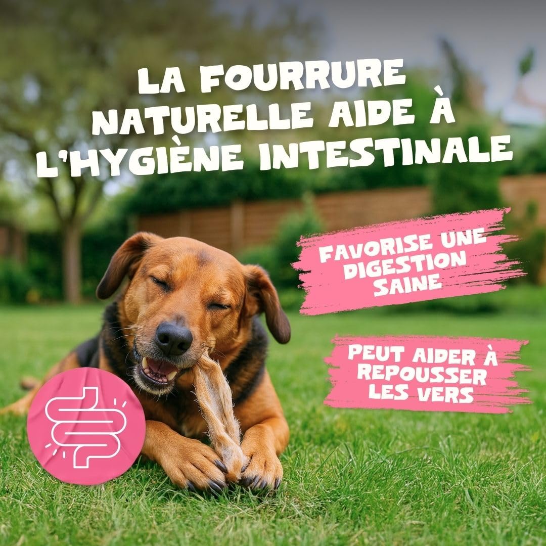 Pets Purest Oreilles de Lapin avec Fourrure pour Chiens, Chiots & Seniors - Friandise à Mâcher 100% Naturelles, Séchées à l'Air, pour Les Aliments Crus et Les Régimes Hypoallergéniques sans Céréales.