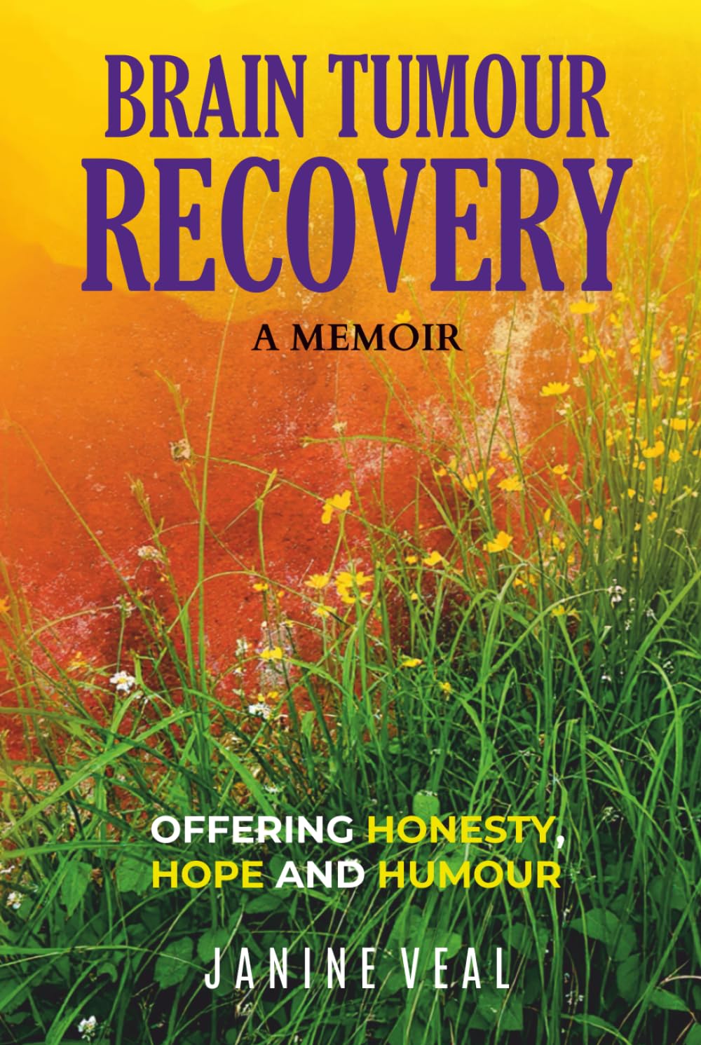 Brain Tumour Recovery: A Memoir - Offering Honesty, Hope and Humour