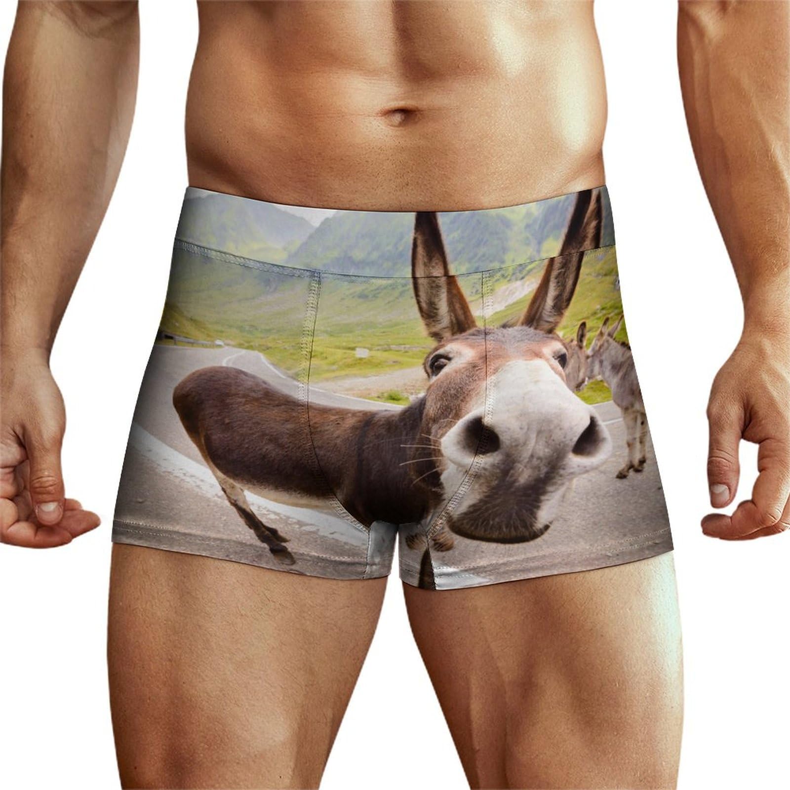Niapessel Men's Funny Donkey Boxer Briefs, Underwear Boxer Brief, Breathable Comfort Novelty Boxers Briefs For L